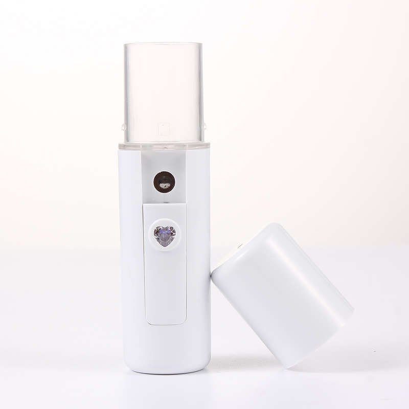 Mini Facial Humidifier Skin Beauty Mist Nano USB Handheld Sprayer Face Steamer (Type A)