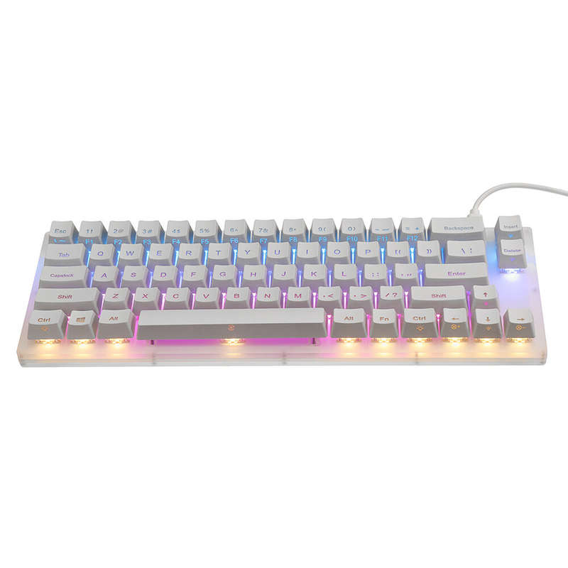 GamaKay K66 Mechanical Keyboard 66 Keys Gateron Switch Hot Swappable Tyce-C Wired RGB Backlit Gaming