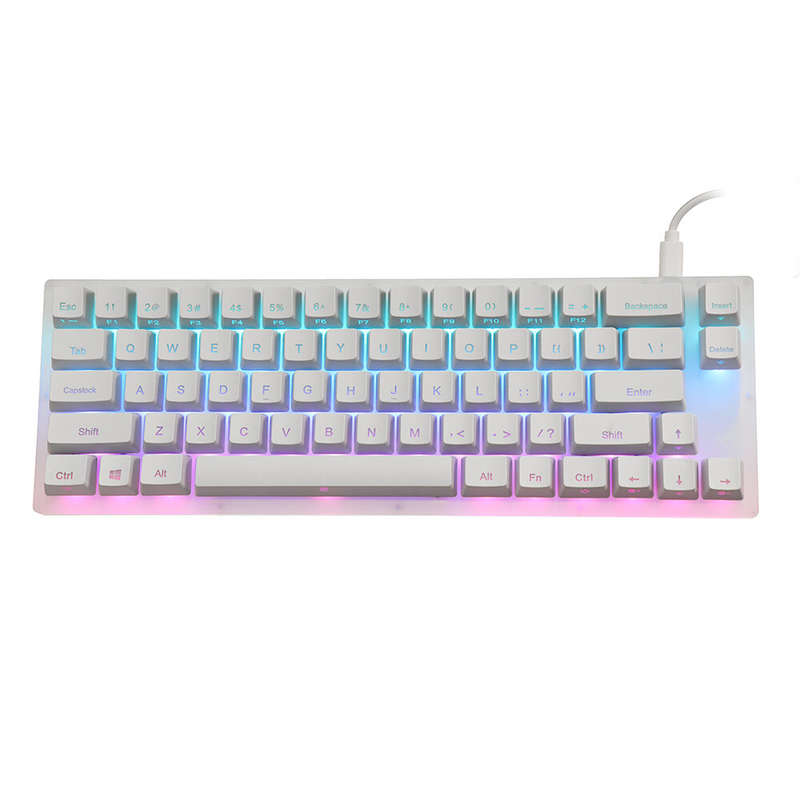 GamaKay K66 Mechanical Keyboard 66 Keys Gateron Switch Hot Swappable Tyce-C Wired RGB Backlit Gaming