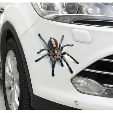 Spider lizard 3D Animal Emulation Truck Trailer Room Window Door Car Stickers ... (TYPE: BLACKBOARD)