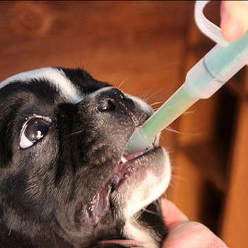Pet Dog Cat Feeding Med-icine Tool Tablet Piller Water Feeding Kit Syringe Giving Aid Pump pet Feedi