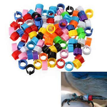150Pcs Bird  Leg Bands for Pigeon Parrot Finch Canary Hatch Poultry Pet Toys