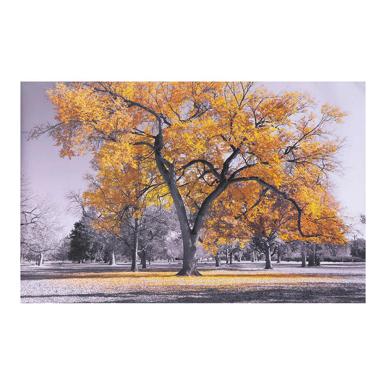 Large Tree Yellow Leaves Black White Nature Canvas Wall Art Picture Print for H