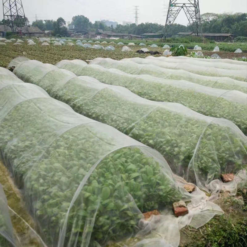 10M/6M x 2.5M Garden Bird Net Netting Vegetables Pest Plant Crops Protect Mesh Anti Bir...-(Size 6M)