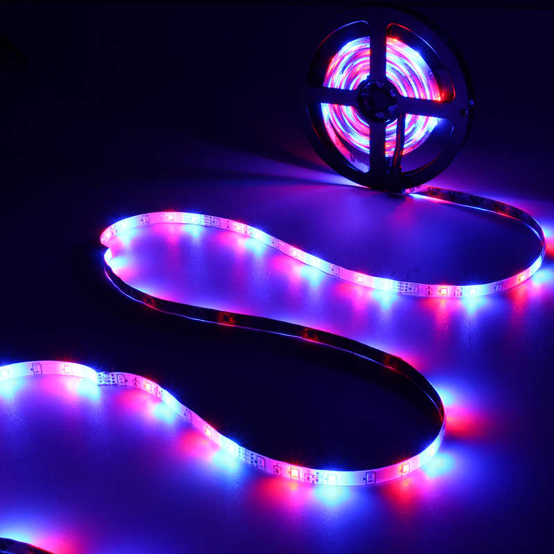 10M 600 LED Color Changing SMD3528 RGB LED Strip Tape Rope Light Kit + IR Controller + Adapter DC12V