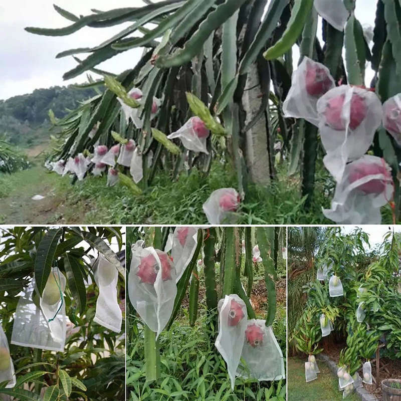 50Pcs Plant Fruit Protect Drawstring Mesh Net Bag Garden Greenhouse Plant Cover