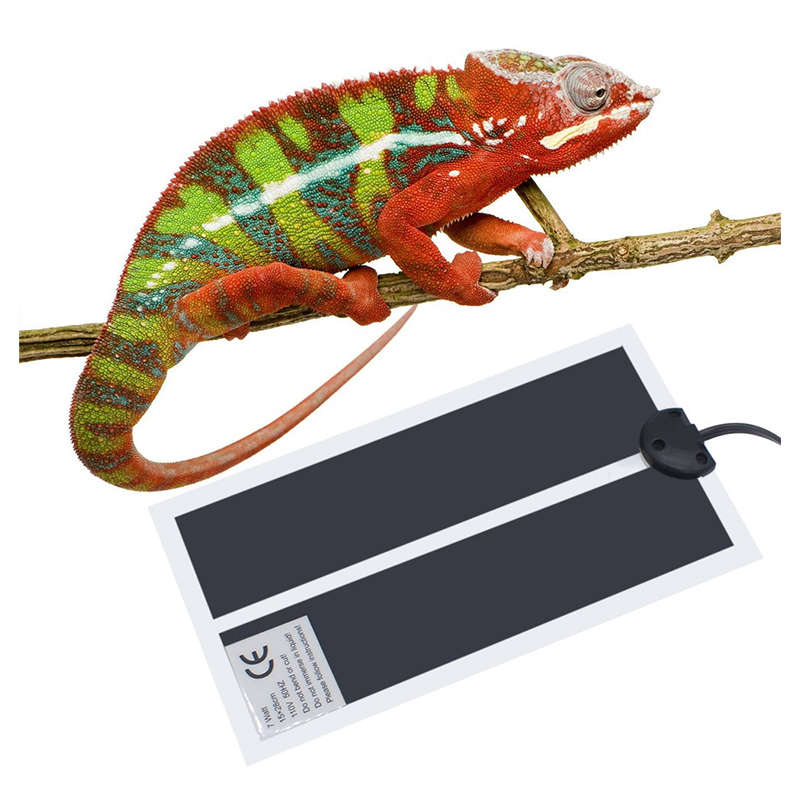 Reptile Pet Heating Pad Film With Temperature Control Switch Waterproof Anti-electric Sh (Power 20W)