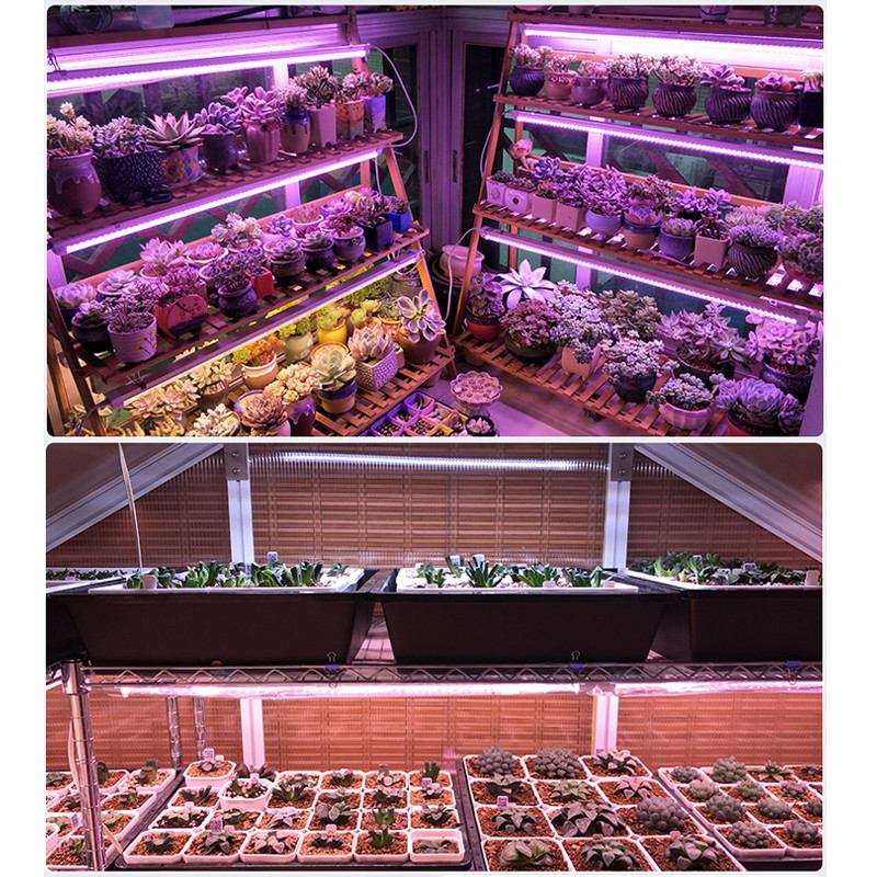 50W/100W Grow Light Full Spectrum LED Grow Lamp For Flower Plant Veg Hydroponics System Grow/Bloom T