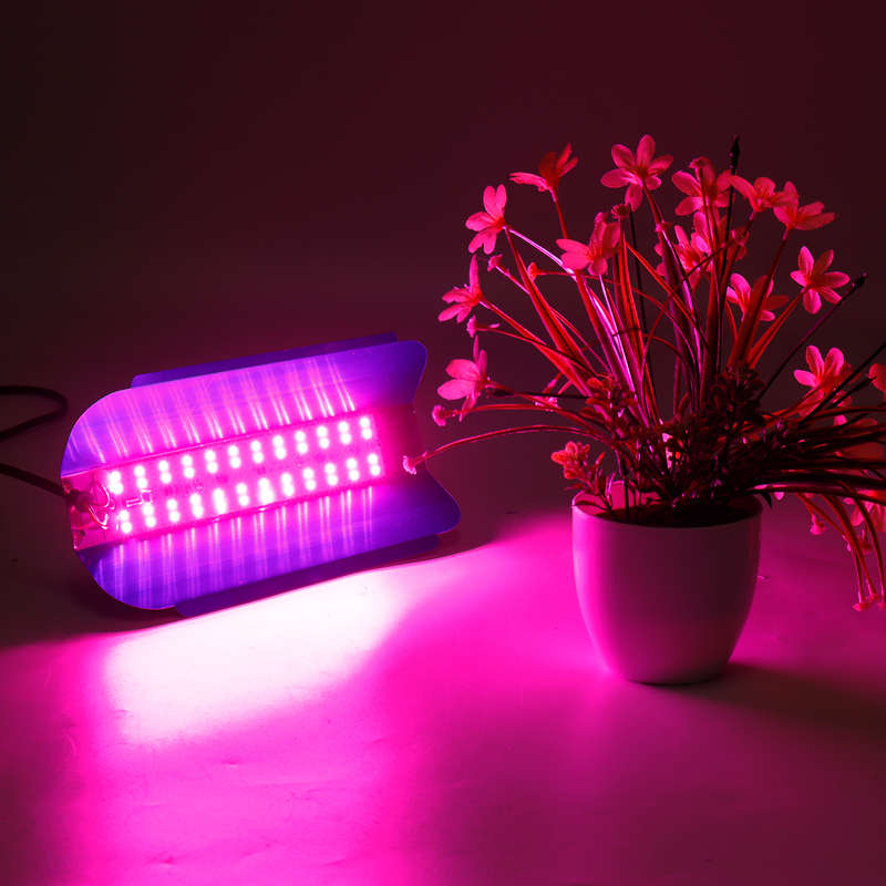 50W/100W Grow Light Full Spectrum LED Grow Lamp For Flower Plant Veg Hydroponics System ...-(Size A)