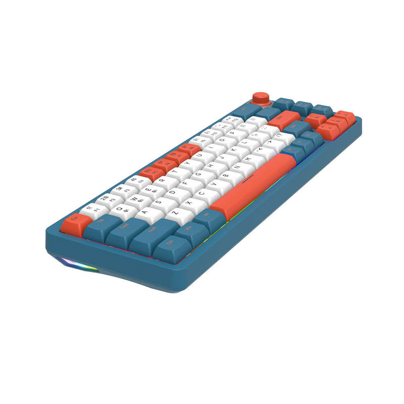 GAMAKAY LK67 Mechanical Keyboard 67 Keys RGB Gateron Switch Hot Swappable 65% Programmable Triple Mo