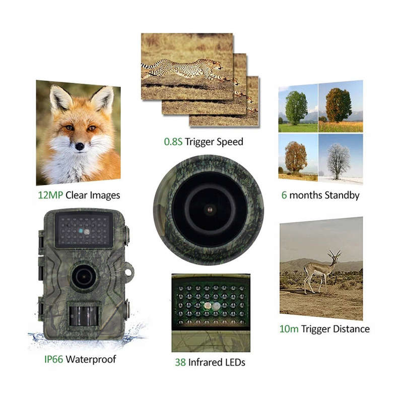 12MP Wildlife Trail Hunting Camera 4K Pixels Photo 1080P HD Video IP66 Waterproof 10m Trigger Distan