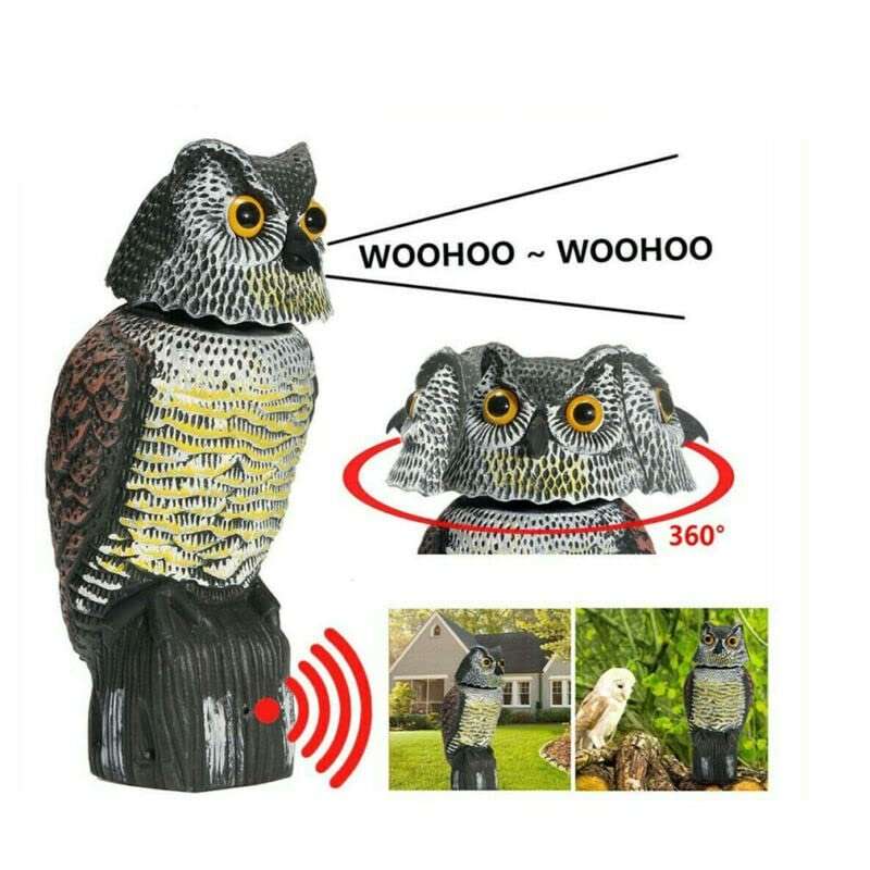 Outdoor Owl Bird Repellent Mouse Deterrent with Electronic Shake Head Feature Generic Realistic 360