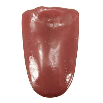 Realistic Tongue Gross Jokes Prank Magic Tricks Halloween Horrific Prop