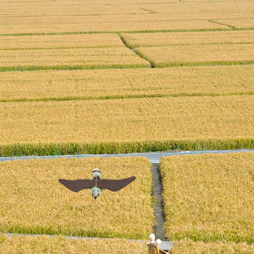 3D Hunting Decoy Flying Falcon Hawk Bird Artificial Flying Hawk Deterrent Scarer Garden Yard Hanging