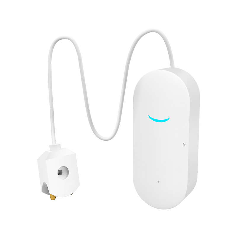 Angus Sw100 Tuya Wifi Water Leak Alarm Water Immersion Detector Smart Home Alarm Overflow Security S