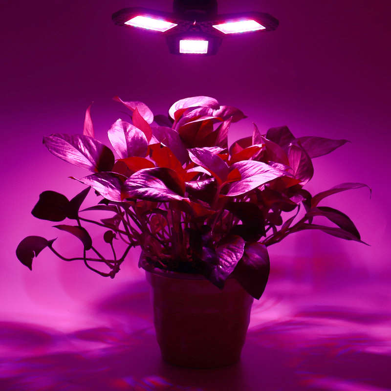 144 LED Grow Lights Panel Full Spectrum E27 LED Plant
