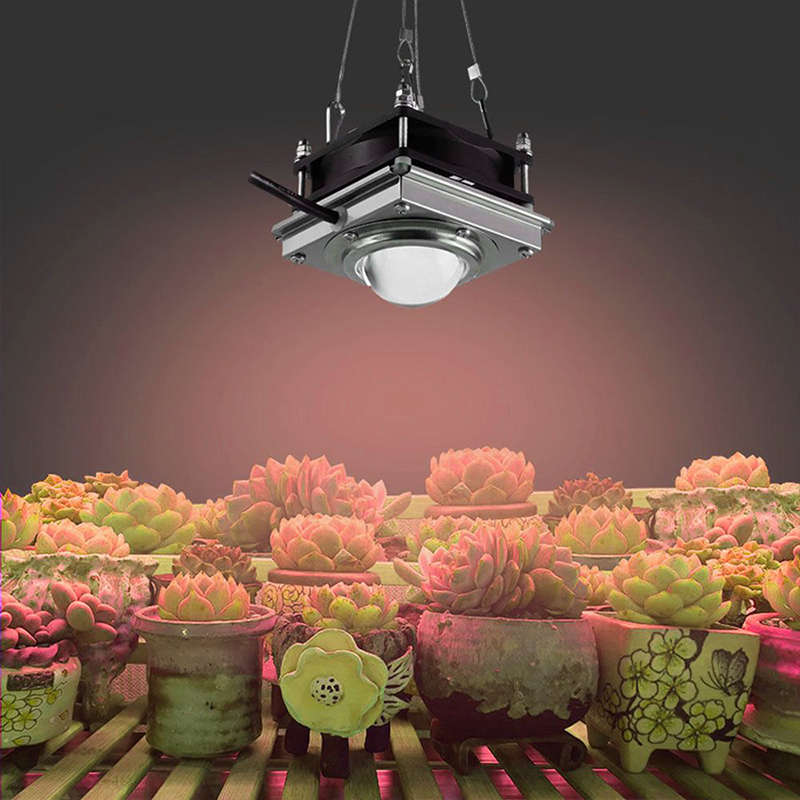 144LED COB Grow Light Full Spectrum Hydroponic Indoor Veg Plant Lamp