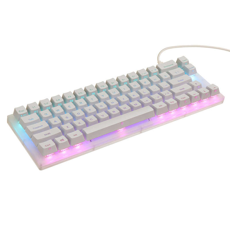 GamaKay K66 Mechanical Keyboard 66 Keys Gateron Switch Hot Swappable Tyce-C Wired RGB Backlit Gaming