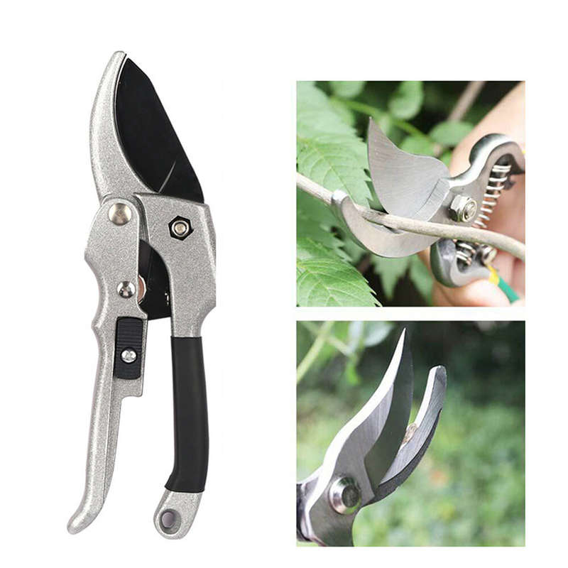 Pruner Orchard The Garden Hand Tools Bonsai For Scissors Gardening Machine Chopper Pruning Shears Br