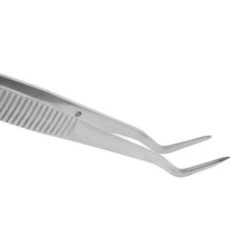 10Pcs 6inch Stainless Steel Dental Tweezers Surgical Lab Instruments Dentistry Tool