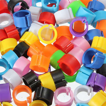 150Pcs Bird  Leg Bands for Pigeon Parrot Finch Canary Hatch Poultry Pet Toys
