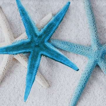 Summer Beach Starfish Bathroom Curtains Nordic style Print Mildew-proof Waterproof Shower Curtain fo