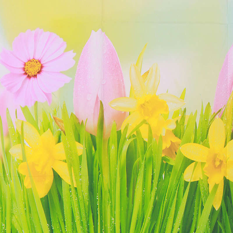 3x5FT Vinyl Spring Flower Bracket Photography Backdrop Background