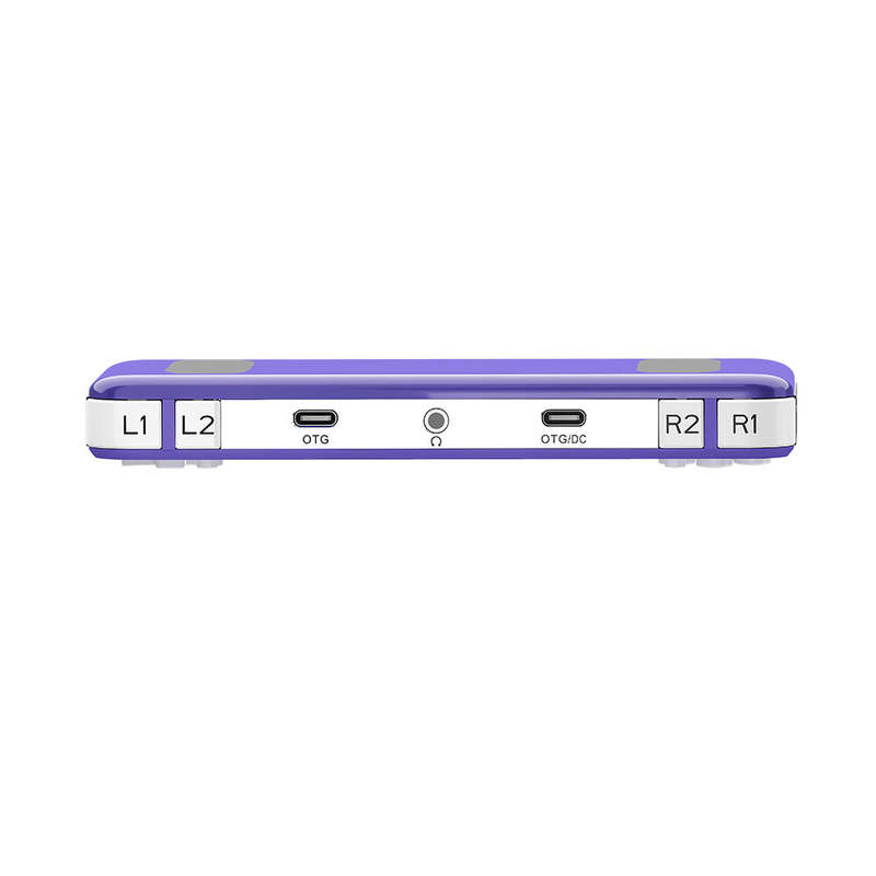 ANBERNIC RG351P 64GB 2500 Games IPS HD Handheld Game Console Support for PSP PS1 N64 GBA GBC MD NEOG