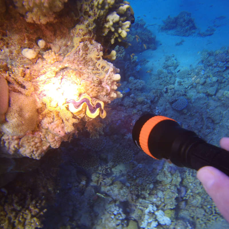 Astrolux DL01 XHP50.2 2230LM Underwater 100M Strong Dive Light 6500K Professinal Scuba Diving LED Fl