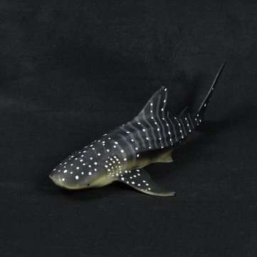 28cm Realistic Whale Shark Sea Animal Figure Solid Plastic Ocean Toy Diecast Model