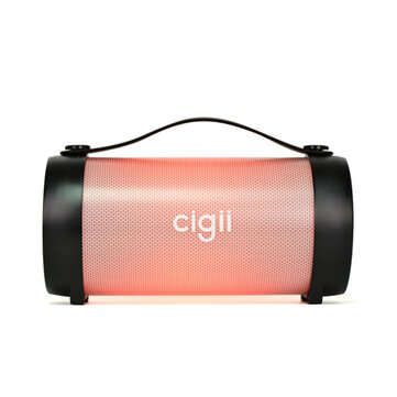 CIGII RX22E Wireless Bluetooth 4.0 FM Radio RGB Light Speaker Support TF Card USB for PC Smartphone