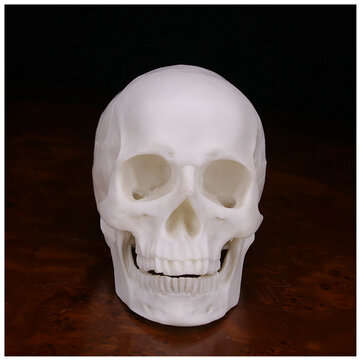 Human Skull Handmade Decoration Goth Halloween Decor Gift Souvenirs Ornament