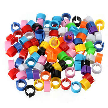 150Pcs Bird  Leg Bands for Pigeon Parrot Finch Canary Hatch Poultry Pet Toys