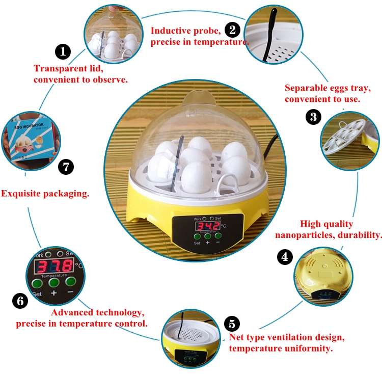 Automatic Eggs Incubator Mini Incubation Equipment 7 Eggs Household Teaching Experiments