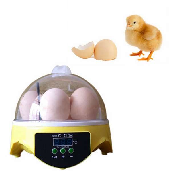 Automatic Eggs Incubator Mini Incubation Equipment 7 Eggs Household Teaching Experiments