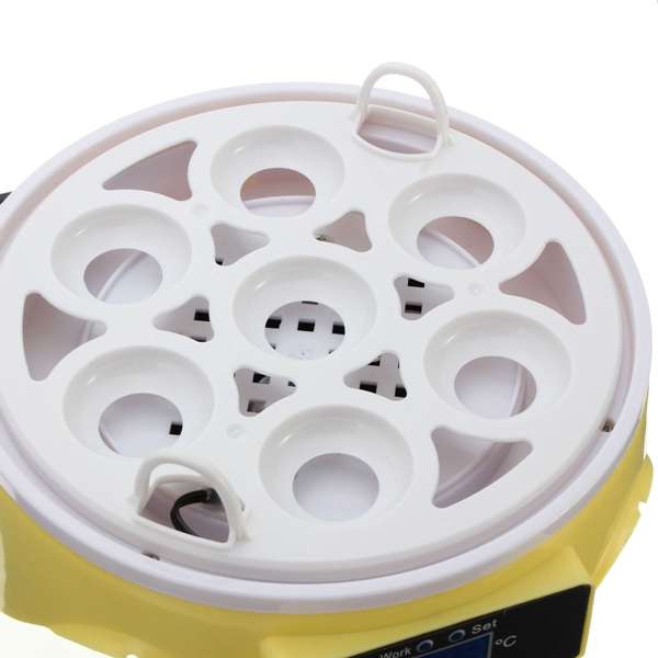 Automatic Eggs Incubator Mini Incubation Equipment 7 Eggs Household Teaching Experiments