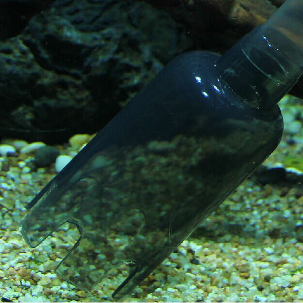 Aquarium Gravel Cleaner