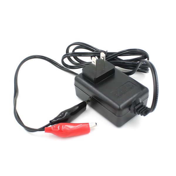 HE Intelligent 12V Charger 