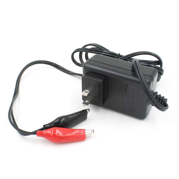 HE Intelligent 12V Charger 
