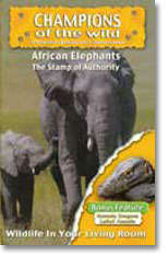 Elephants - Champions Of The Wild - Elephants / Komodo Dragons In Association With Discovery