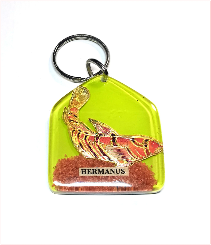 Hermanus 'fish' in resin keyring / keychain