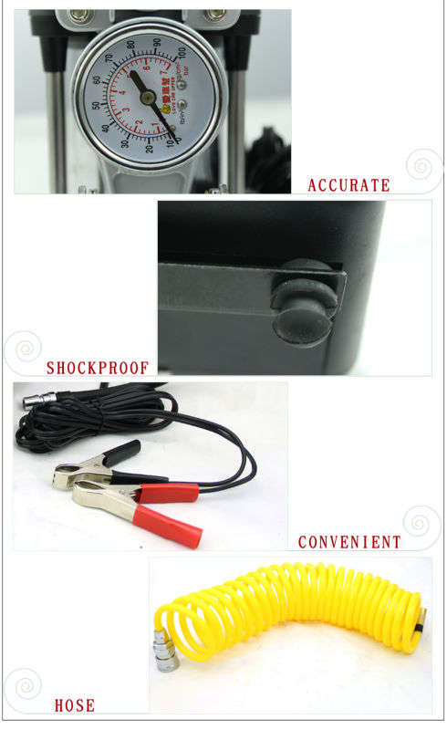 12v double cylinder air pump (HL--8807)