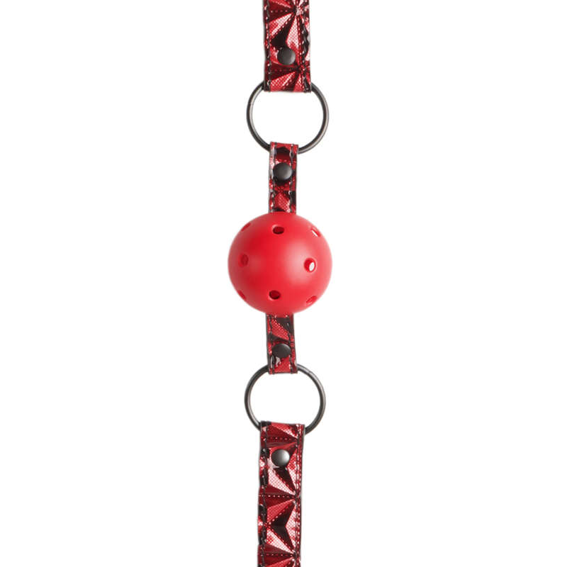 Ball Gag Accessory