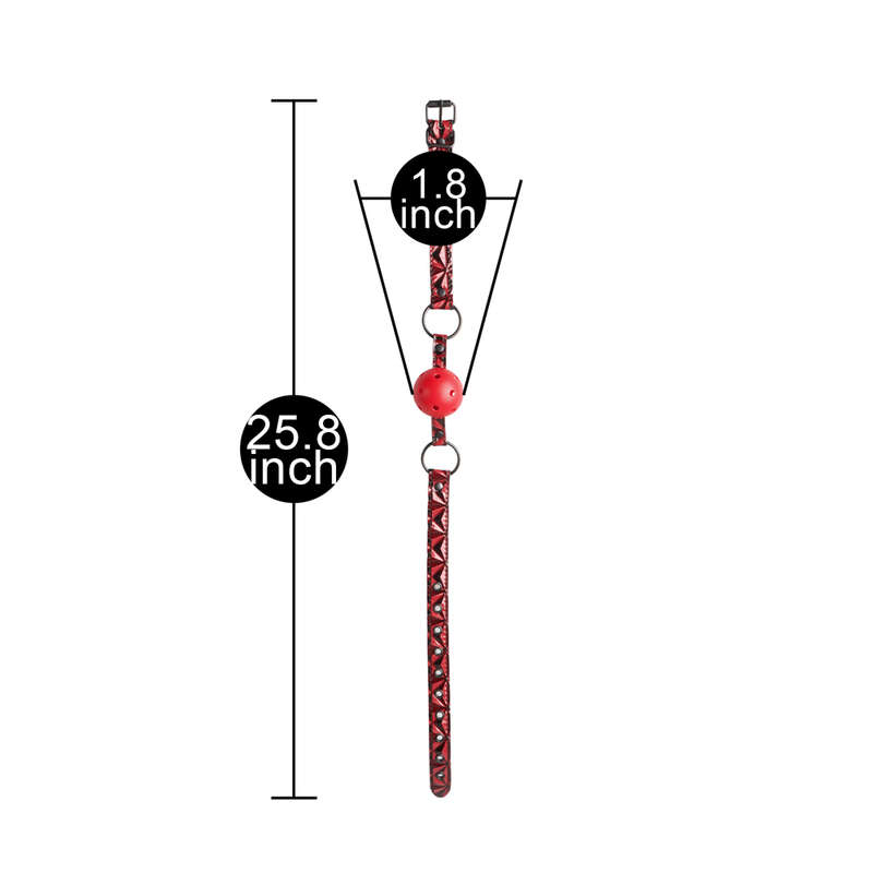 Ball Gag Accessory