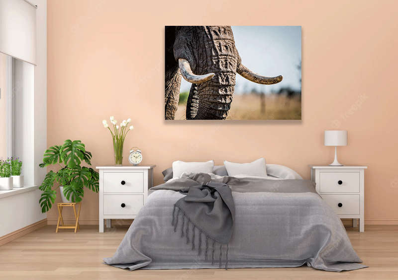 Elephant tusks