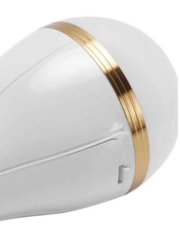 30W Rechargeable LED Bulb Light