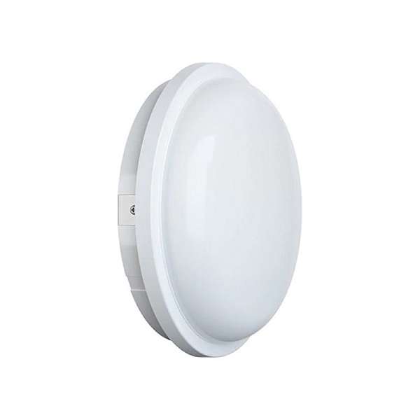 25W White LED Light