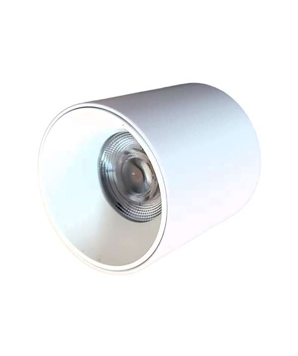 12W LED Cylinder Spotlight