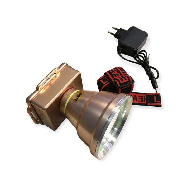 100W Large Head Lamp
