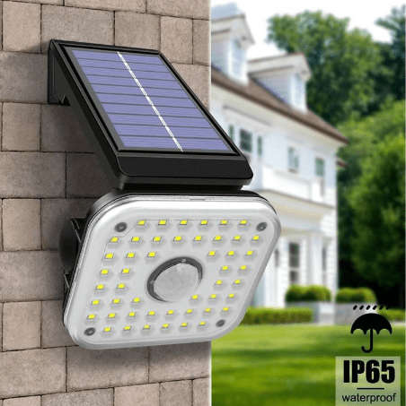 Solar Powered Induction Wall Light